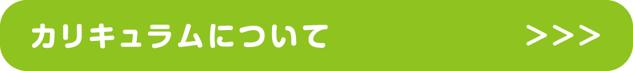 カリキュラムについて